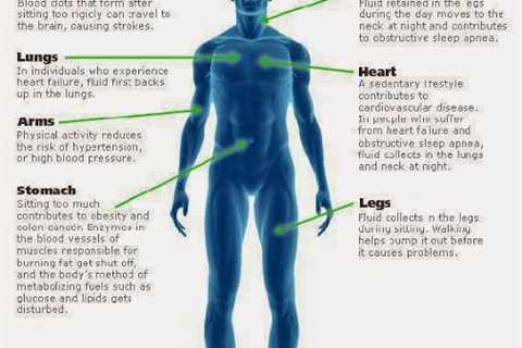 7 Areas of the Body Affected by Sitting too Long – Infographic