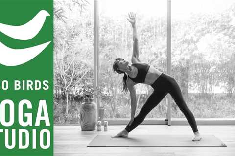 45 Minute Vinyasa Flow - Practice Steadiness & Ease