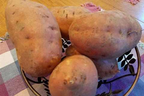 National Sweet Potato Month :: WRAL.com