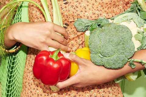 Plant-based diet for beginners: transition away from animal products