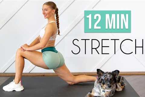 7 ESSENTIAL STRETCHES YOU NEED TO DO DAILY! (12 min Stretch for Flexibility & Mobility)