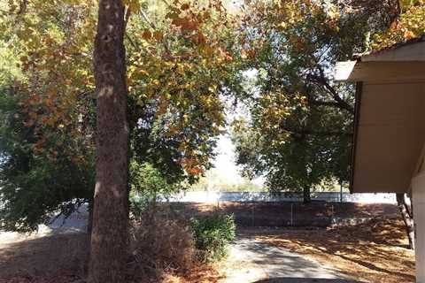 Brisk Coyote Creek Outing