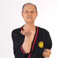 Does Wing Tsun training help you deal with stress?