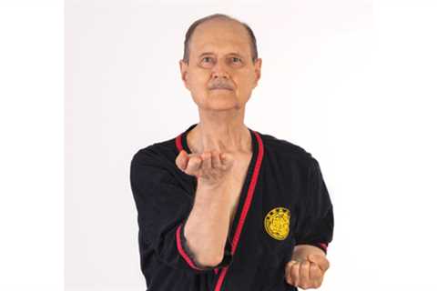 Does Wing Tsun training help you deal with stress?