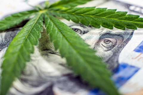 Understanding The Cost Of Getting A 420id Card In Your State