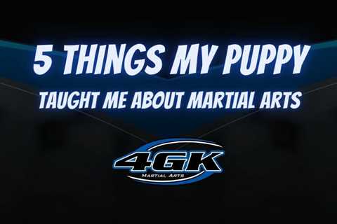 5 Things My Puppy Taught Me About Martial Arts