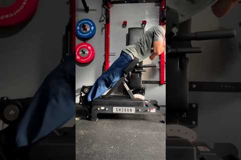 Mr Infinity Nord Ex Preview (Nordic Bench + Back Extension Machine)