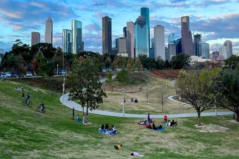 Vegan-Friendly Pet Boarding Facilities in Houston, TX