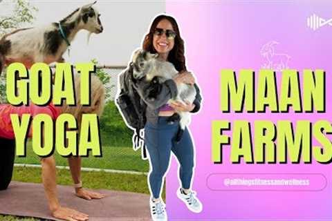 Yoga Meets Farm Life: Dive into the World of Goat Yoga at Maan Farms