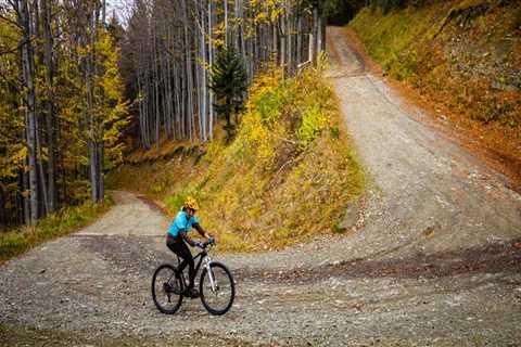 Exploring the Bike Paths and Lanes of Olathe, Kansas - A Cyclist's Guide