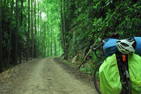 Exploring Bike-Friendly Rivers in South Carolina: A Guide for Cyclists