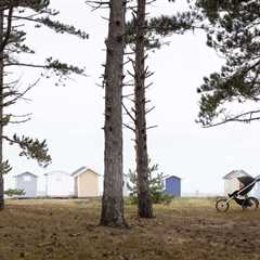 The Unexpected Benefits Of Running With A Stroller